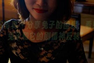 PANS写真 – 分享兔子的图库：看！这只兔子和它的剧情神反转！