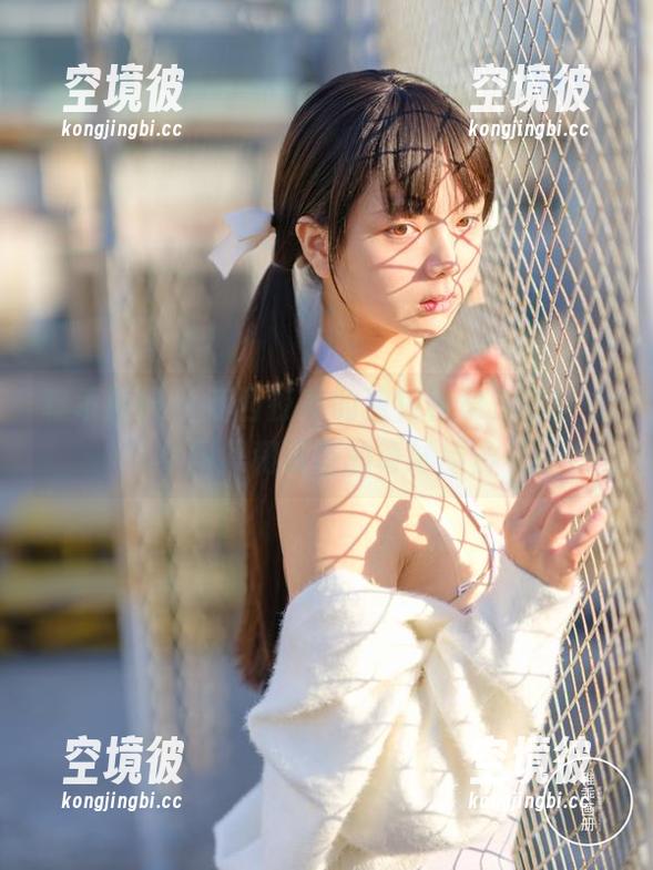 稚乖画册-赤西夜夜 稚乖画册 - 赤西夜夜的独特视角,初音少女图集和资源的奇妙结合
