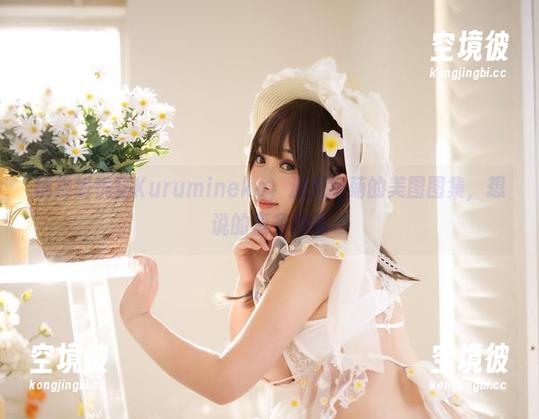 捕捉胡桃猫Kurumineko，追光雏菊的美图图集，想说的蛮多的呢